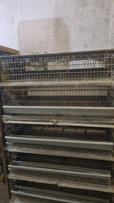 Продам клетки для перепелов