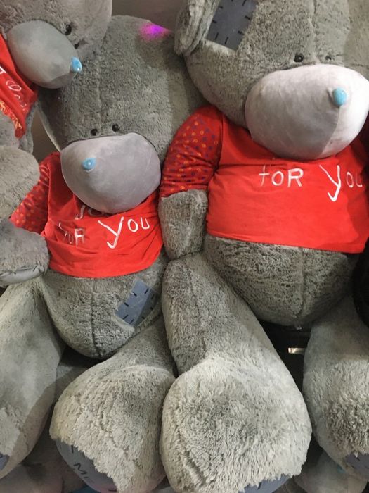 Teddi 1+1 Teddy Aksiya Eng Arzon Narxda