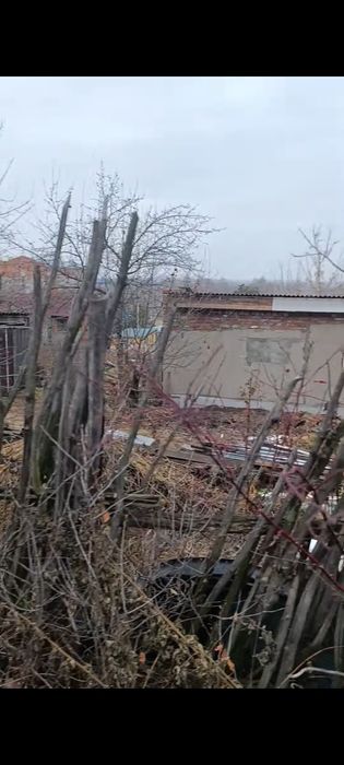 Земельный участок с постройкой, борки.