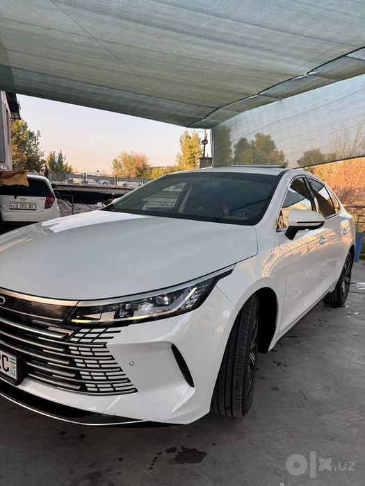 Byd Chazor gibrid