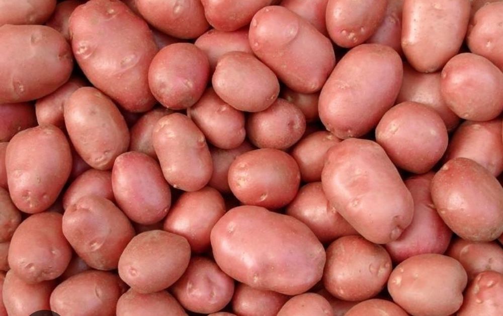 Продам картошку 2900