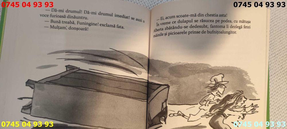 carte carti matusica ingrozitoare david Walliams