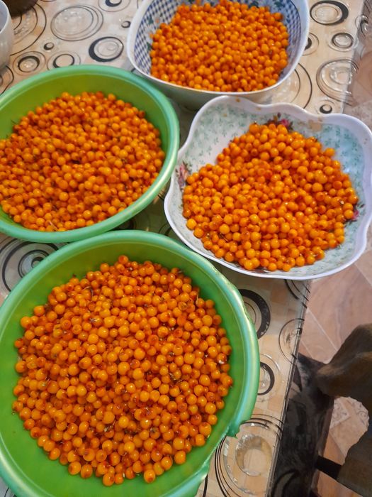 , облепиха ,вишня замороженные, местные