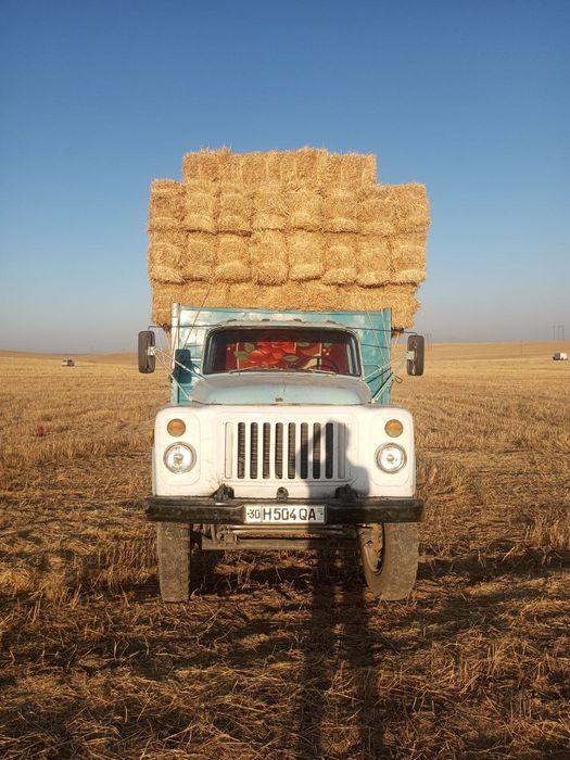 Moshina a‘lo daraja olib baraka topasilar