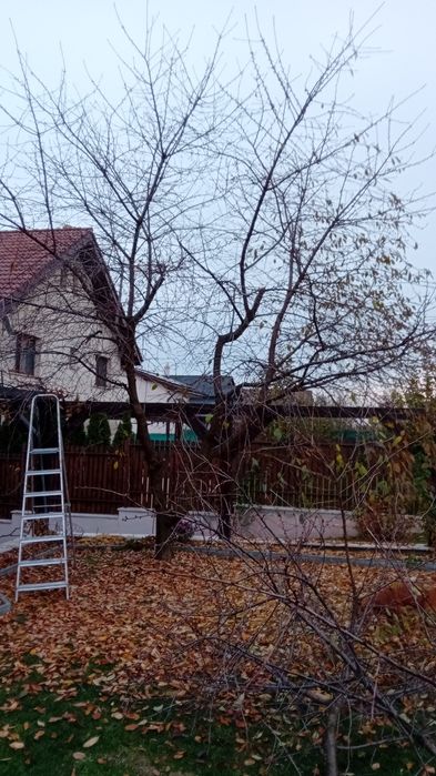 Gradinar/ Giardiniere cu 7 ani de experiență in Italia