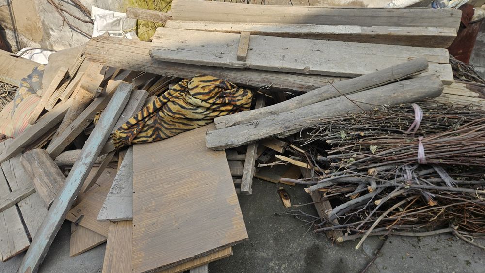 Таййор утин бор текинга