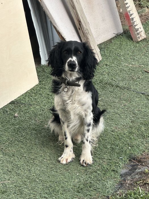 Мальчик для вязки