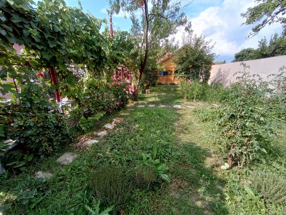 Casa 140 mp, 1060 mp teren