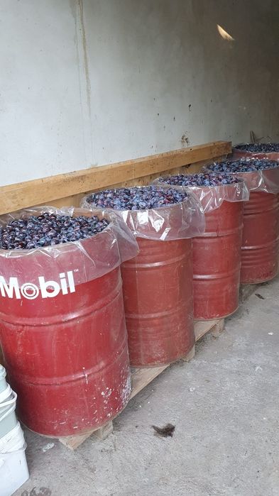Prune pentru țuică