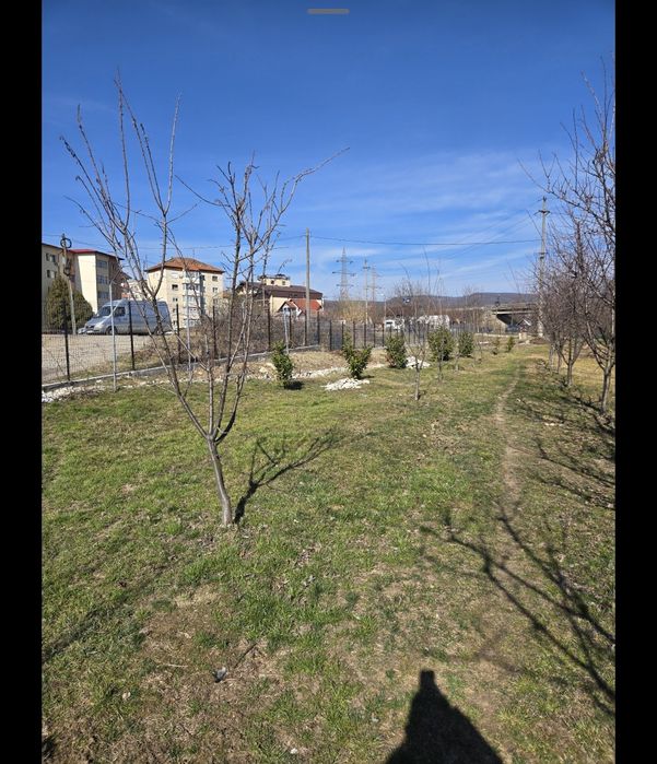 teren zona nord de vanzare