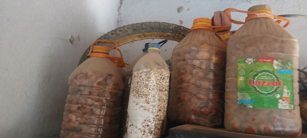 zaldari urik sotiladi yaxsh quritlamagan toza bakalashkaga solingan