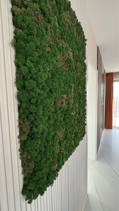 Casa premium de vânzare, cartier asfaltat - cartierul Olimp/Casandra