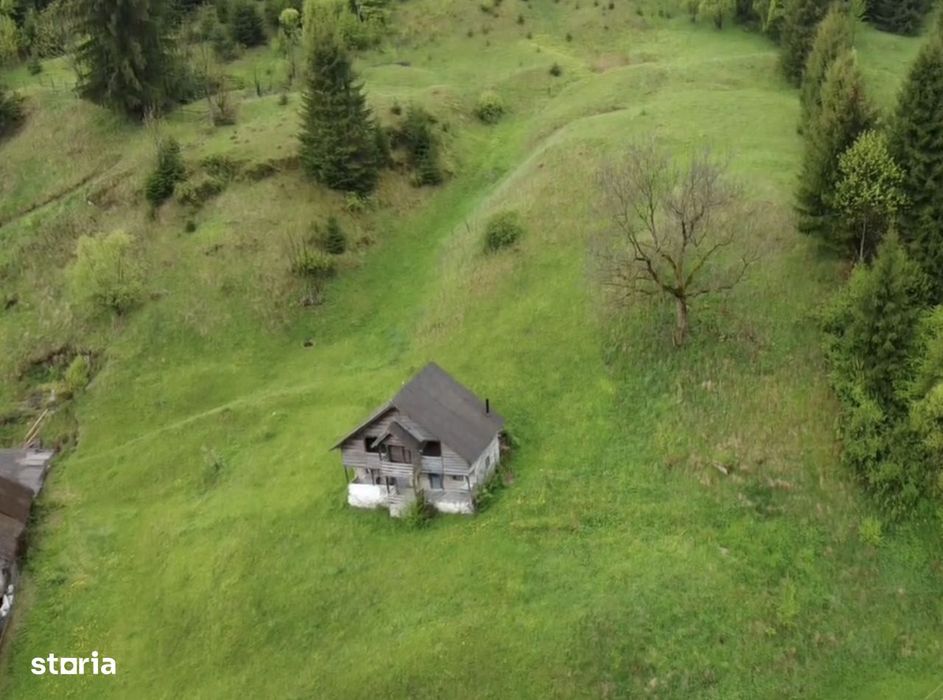 Teren intravilan 7.228 mp cu construcții, Sătic-Rucăr, Argeș