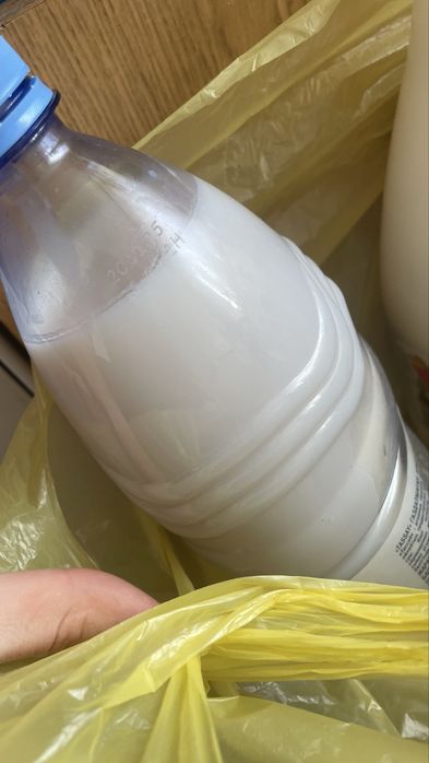 Свиной жир чистый