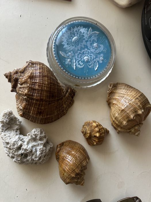 Ракушки ,морские звезды