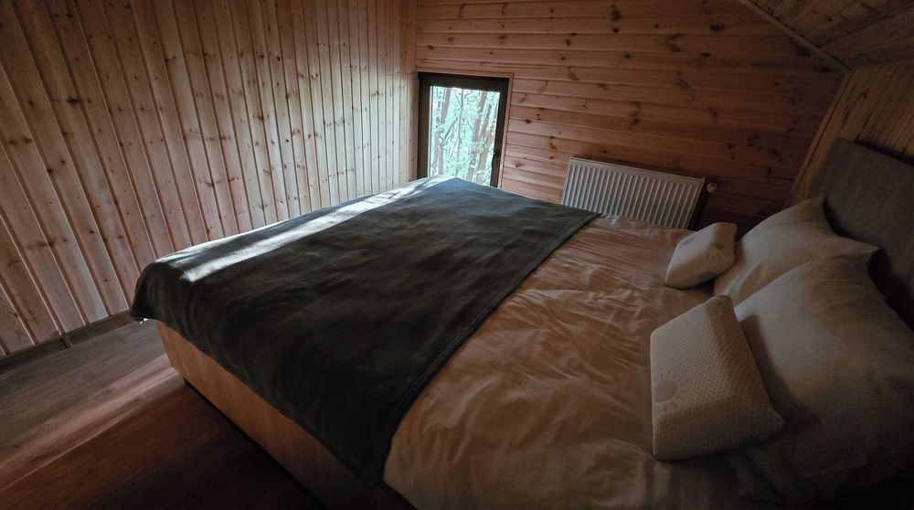 Cabana de inchiriat in Apuseni, Transilvania, retrasa in padure, cu ciubar foisor gratar ceaun, la munte, Brad Huneodara, 8-10 locuri