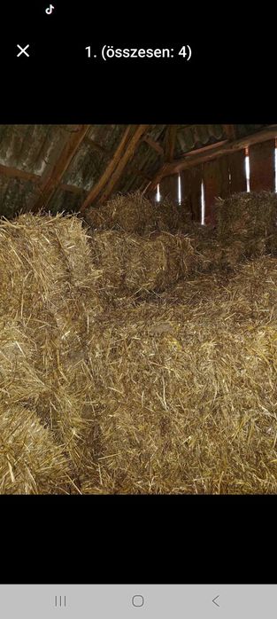 Baloți paie de ovăz