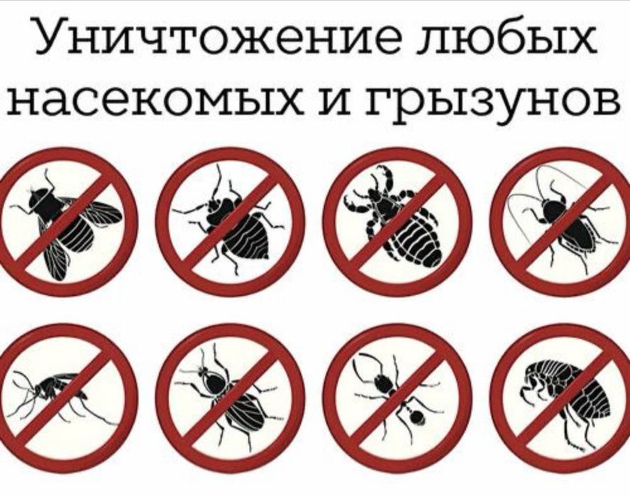 Скидка 10% Дезенфекция дизенфекция дезинфекция дизинфекция dizinfeksiy