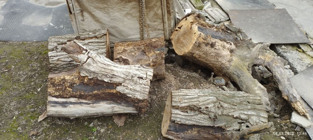 ПРОДАЮ (не покупаю) дрова распиленной на бруски орешины и тутовника