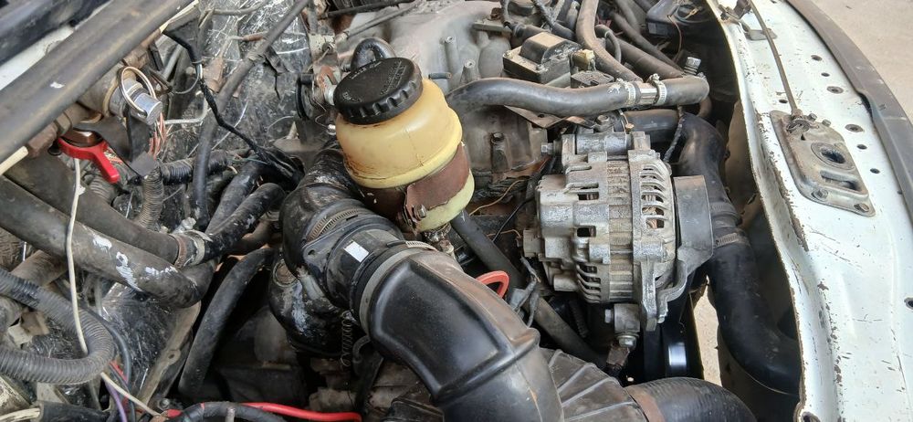 Stareks mator  xolati yaxshi