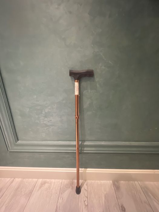 Трость ручная (tayoq hassa)