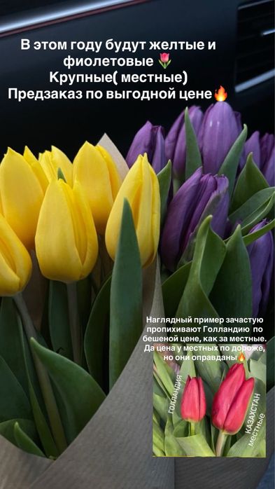 Тюльпаны к 8 марта