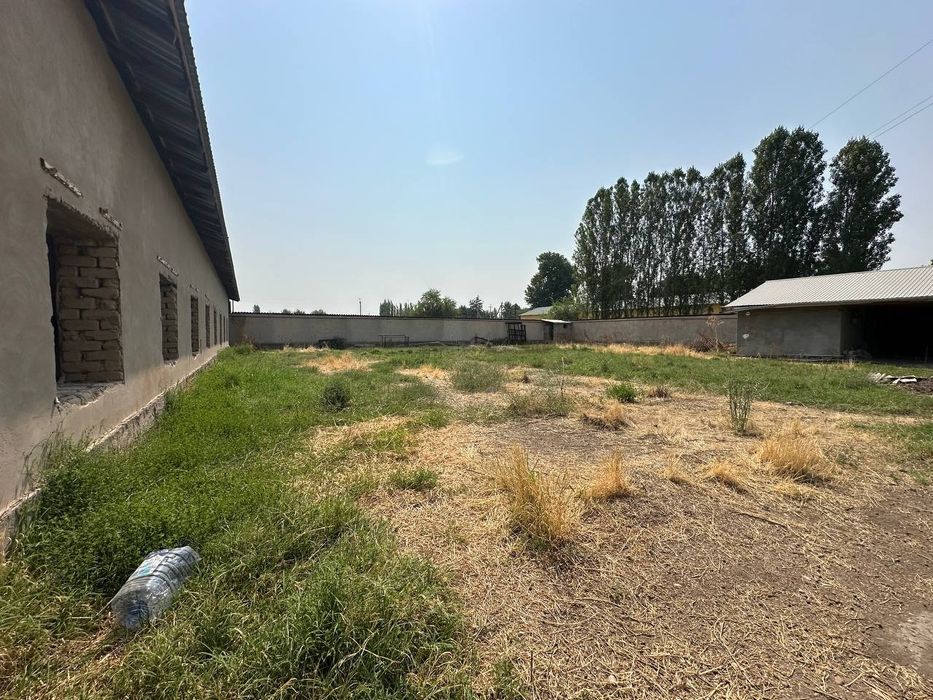 Срочно продается ферма 24 сотки Янгиюль Захарьевский