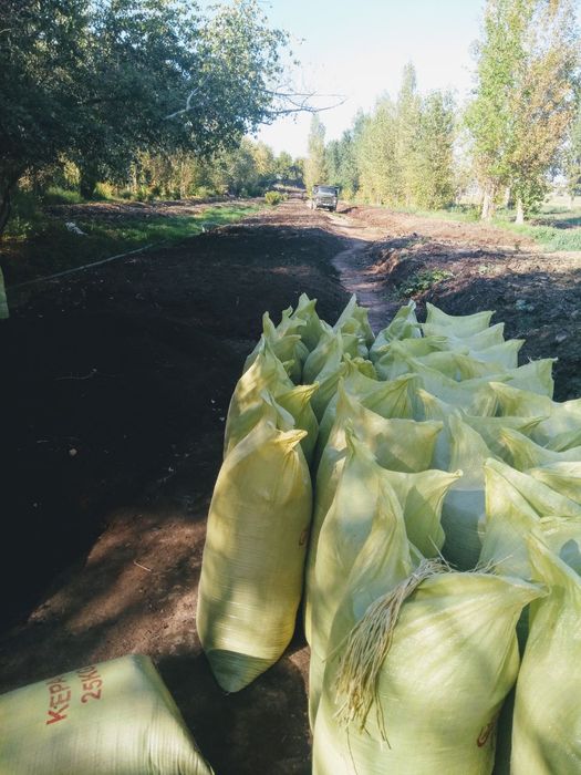 Biogomus Toshkent dastavka