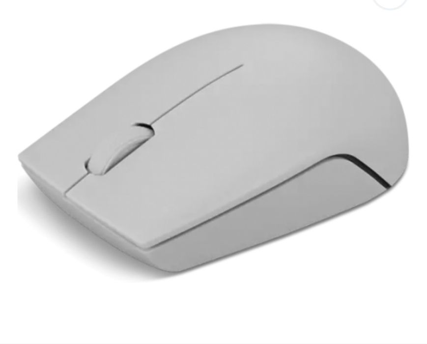 Mouse optic Lenovo 300 USB Wireless Arctic Grey