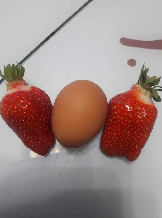 Расзад ягоди и малини от производител