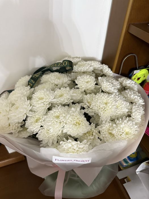 Продам цветы по низкой цене