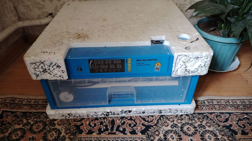 Инкубатор на 60 яйц