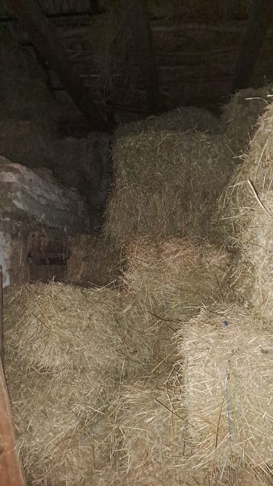 Vând baloți lucernă calitate superioara pret 35lei buc