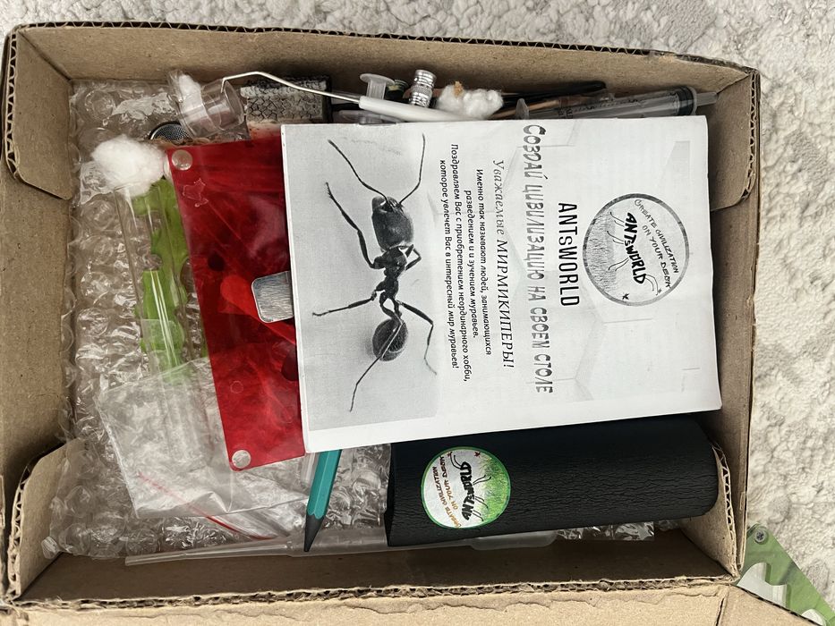 Муравьиная ферма