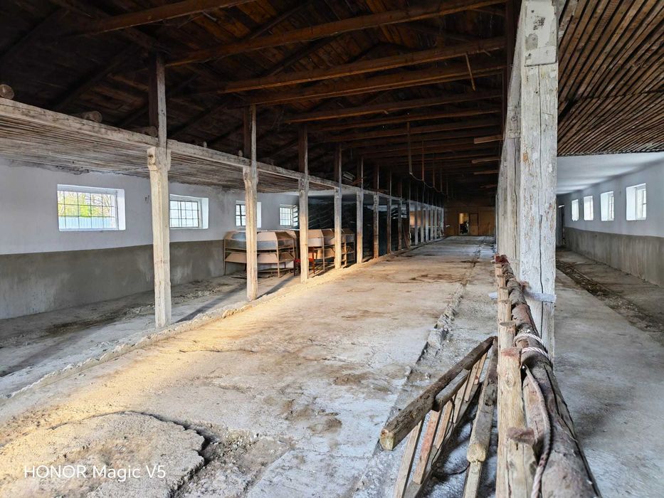 Hală 900 mp cu birouri și anexe, teren 3.000 mp – Șiliștea, Brăila
