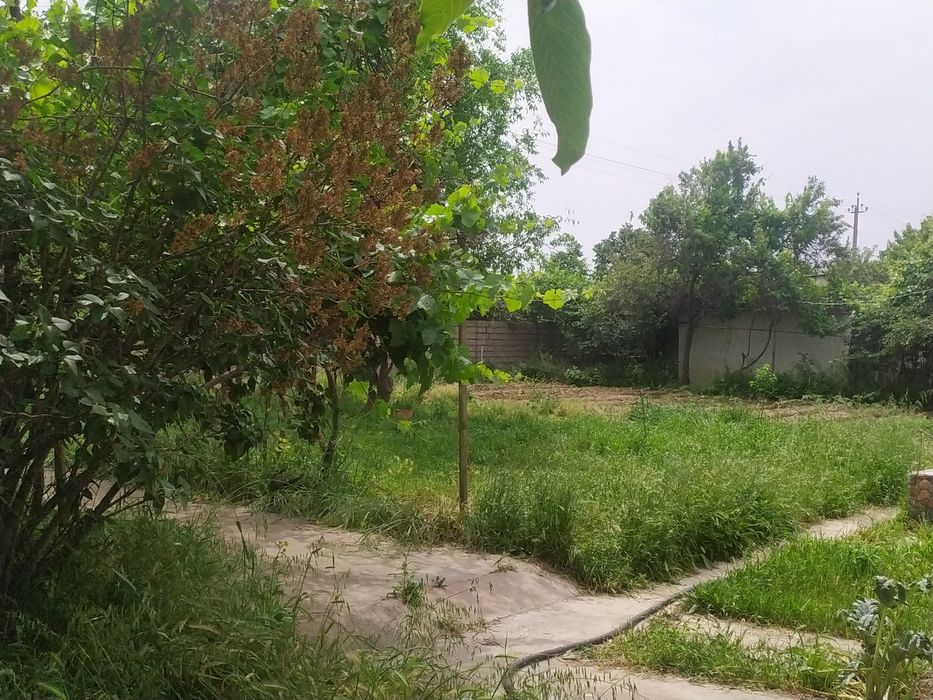 Срочно Продается дача!