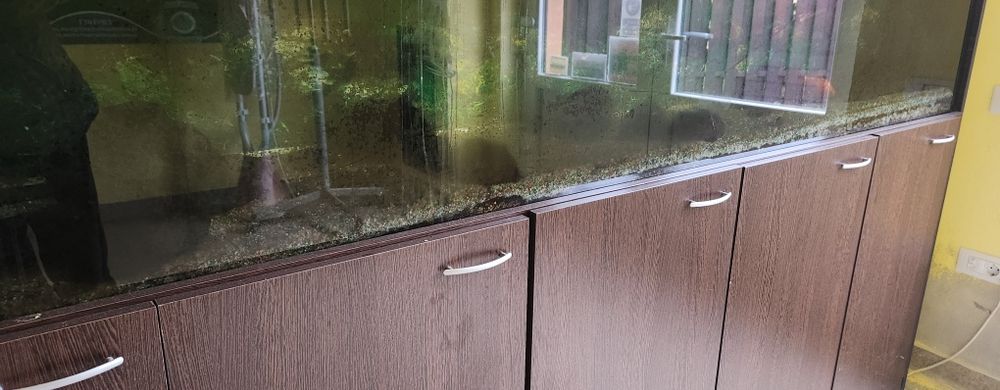 Acvariu  2600x1700x660 pe structura metalica si mobilier