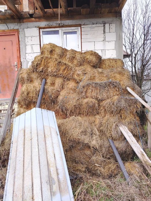 Vind lucerna baloti dreptunghiulari