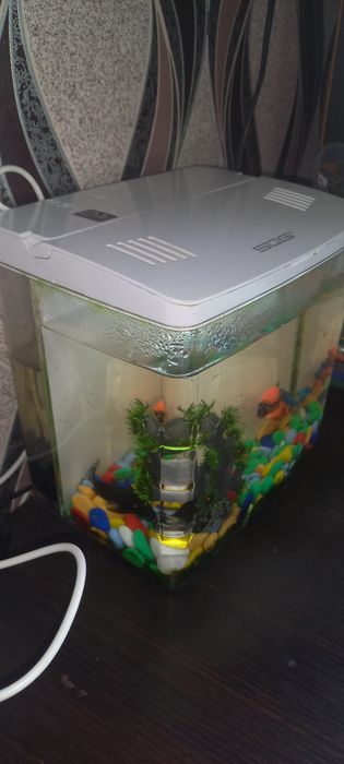 Продам Аквариум 5л