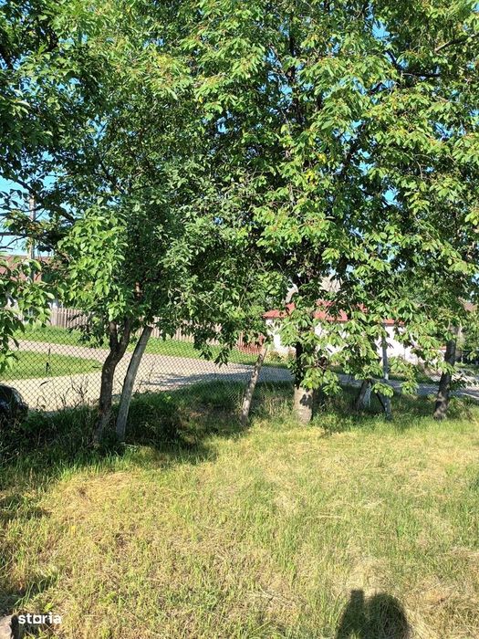 De vanzare teren intravilan cu suprafata de 1600mp, Pret 18000euro