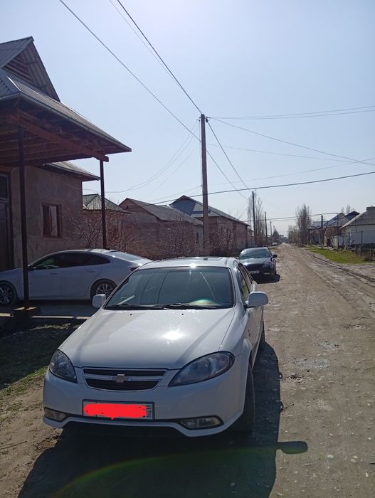 Жентра 2017 идеал