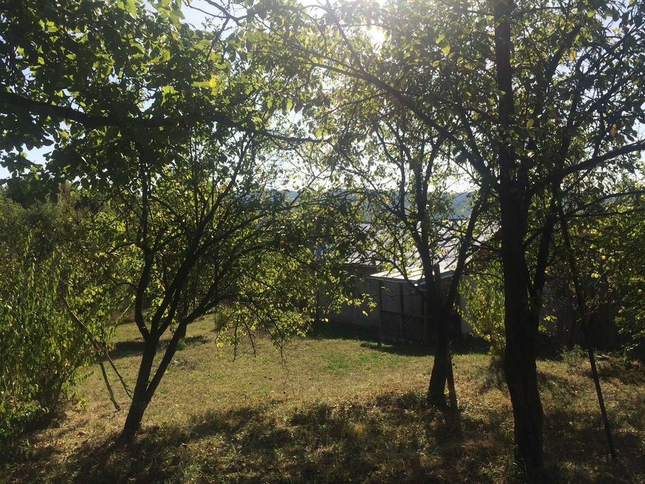 Teren intravilan de vanzare in Drajna de Sus