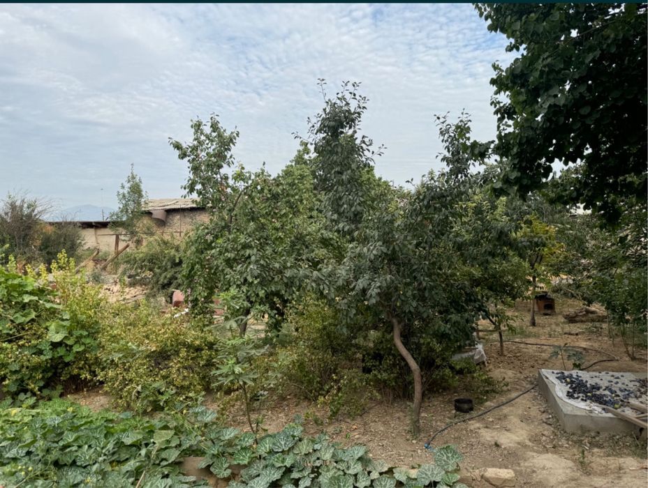 Hovli sotiladi. 9.5s.h dokumentalna. O’zimizani uy maklersiz.