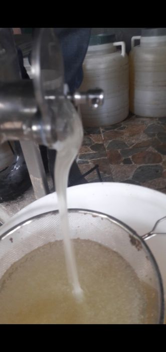 Miere de salcâm !!!