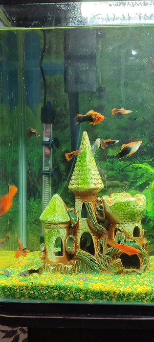 Аквариум заводской