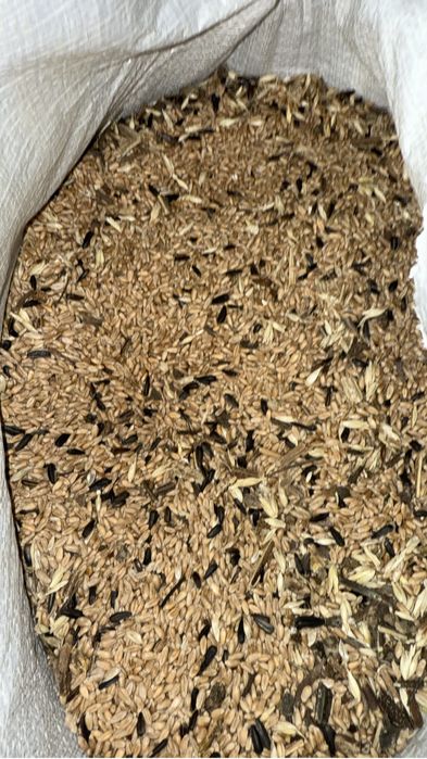 Продам зерноотходы пшеничные, пшеница, ячмень