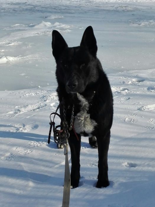 Ждем подружку