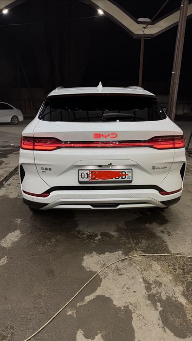 BYD chempion 2024 lidarligi