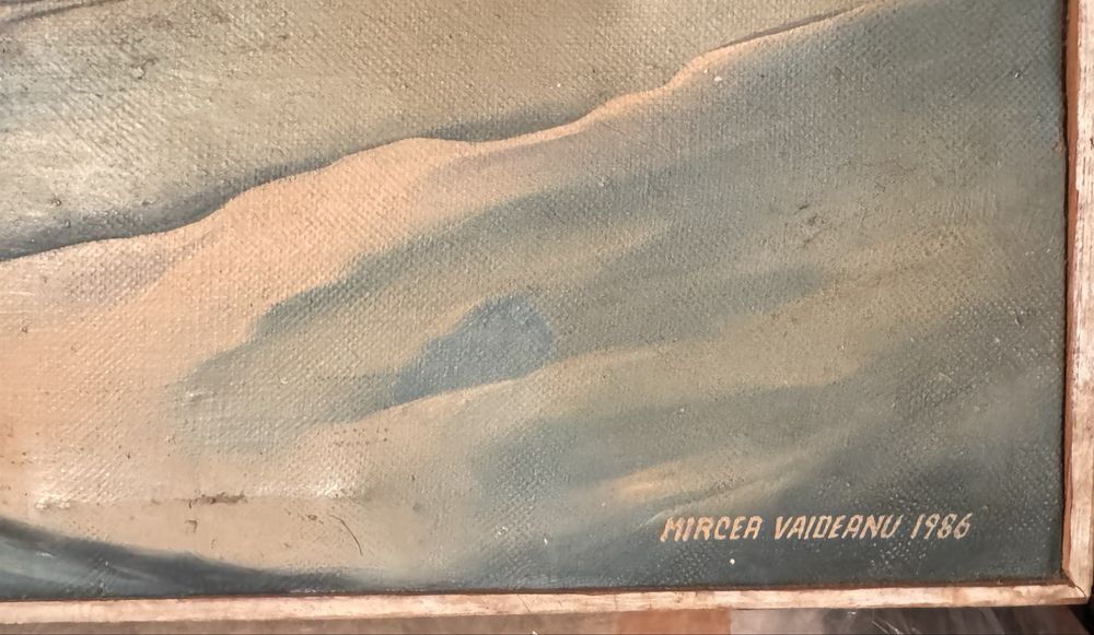 Tablou cu peisaj polar Mircea Vaideanu