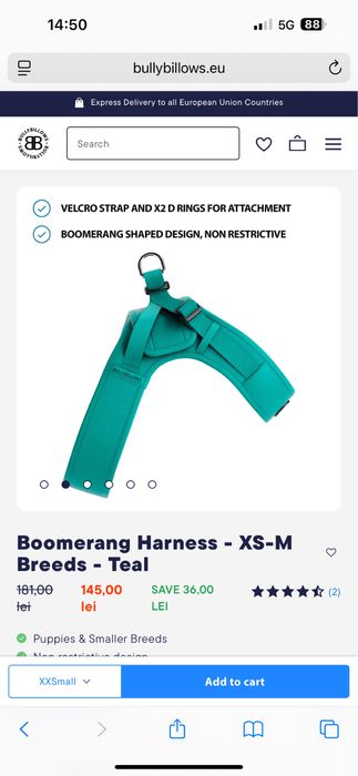 Ham pt caini bullybillows